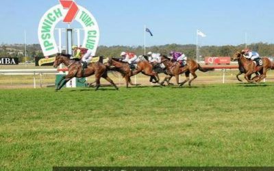 COUNT APOLLO WINS IPSWICH MAIDEN 1200m