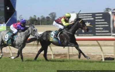 Flying Kyle Wins Echuca BM64 1600m