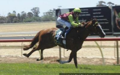 Gold Hoffa Wins Echuca 3yo Maiden