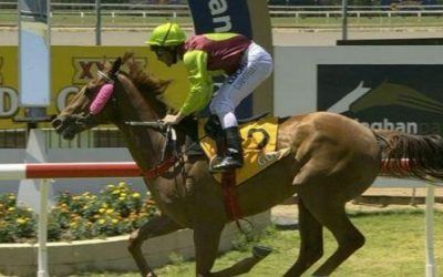 Elkalato Wins Rockhampton Maiden 1300m