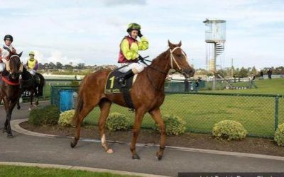 Impeccable Me Wins Warrnambool R58 1200m