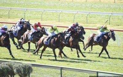 Top Sight Returns Impressively At Bendigo