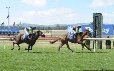 Miss Galato Wins Seymour 3yo Fillies SV Maiden