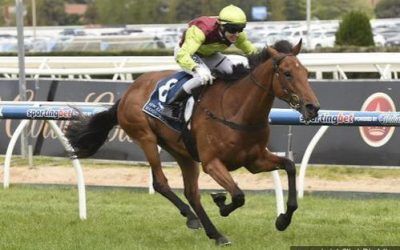 Set Square Wins Listed Ethereal Stakes