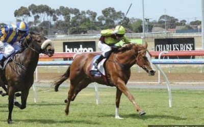 Gold Hoffa Wins Geelong BM58 1218m