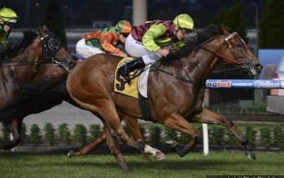 Fast Cash Wins $150K Vobis Gold Carat