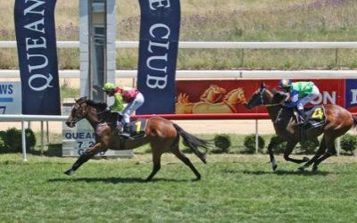 Bonee Tess Wins Queanbeyan