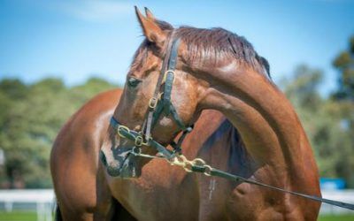 Maher Happy With Set Square