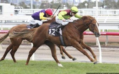 Bon Aurum Wins Listed Pin & Win Stakes Flemington