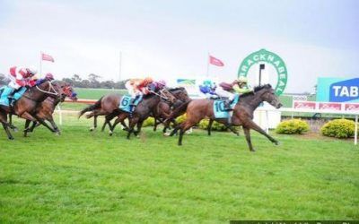 Well Sighted Wins Warracknabeal BM64 1006m