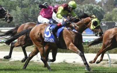 Bon Jet Wins Kyneton