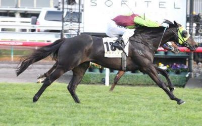 Late Charge To Stand At Stud In Victoria