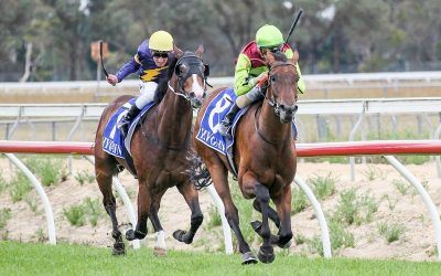 Street Icon Wins On Debut