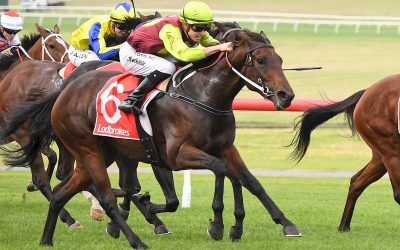 STREET ICON RETURNS TO WINNING FORM