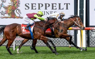 BONS ANOTHER LUCKLESS 2nd at STAKES LEVEL