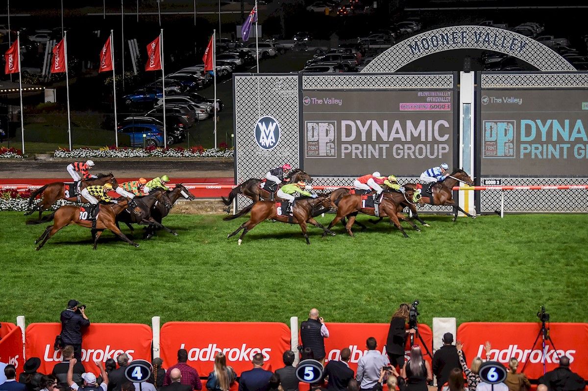 Tried Horses for Sale Melbourne Buy Racing Horses in Melbourne, Victoria