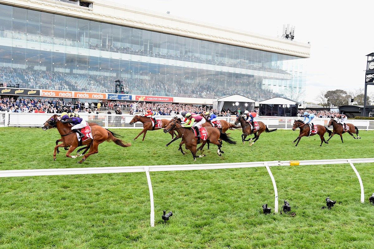 Tried Horses for Sale Melbourne Buy Racing Horses in Melbourne, Victoria