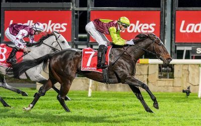 SALARIA GETS THE JOB DONE