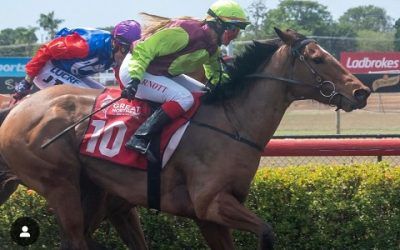 ROYAL SIGNAL DARWIN PLAN A SUCCESS