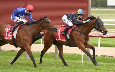 Bahama Bay Wins Moe in Club Colours