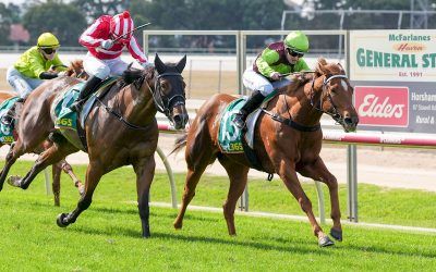 FRENCH SAVOY WINS HORSHAM