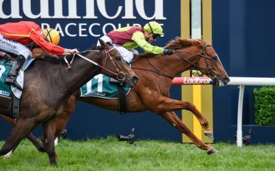 BON AURUM’S DOMINATE DARWIN