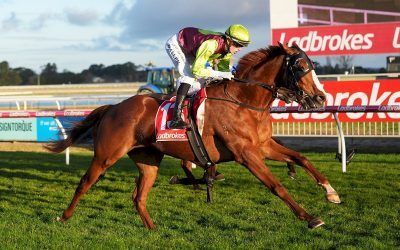 Maxxi Bon Wins At Sale