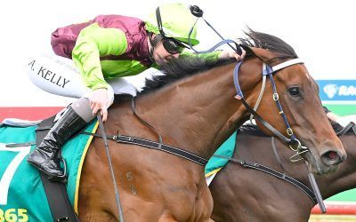 BLING BLING ANOTHER WIN