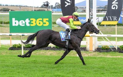 I’M FOXING WINS YARRA VALLEY