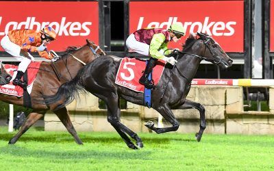 I’M FOXING WINS AGAIN