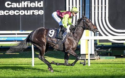 I’M FOXING BLISTERING DISPLAY AT CAULFIELD
