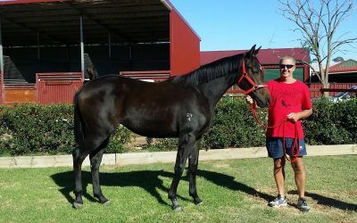 LUCKY NEW OWNER GARY WILKINSON WINS SHARE IN LUCAS CRANACH FILLY