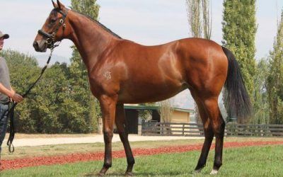 SUREFIRE LASS SALUTES AT ECHUCA