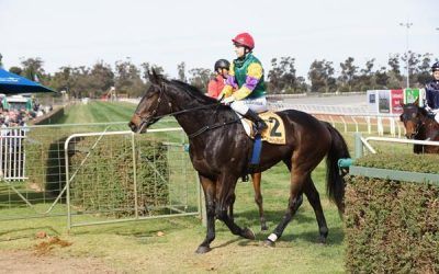 FOUND MY WAY IN WINNING FORM AT MILDURA