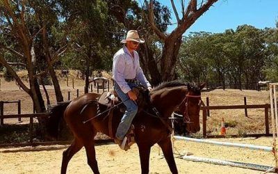 Lucas Cranach/Swanky Bar Filly