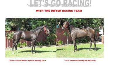 LAST CHANCE TO OWN A LUCAS CRANACH STAYER