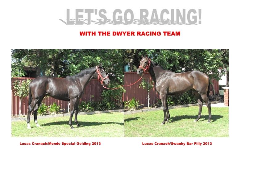 LAST CHANCE TO OWN A LUCAS CRANACH STAYER