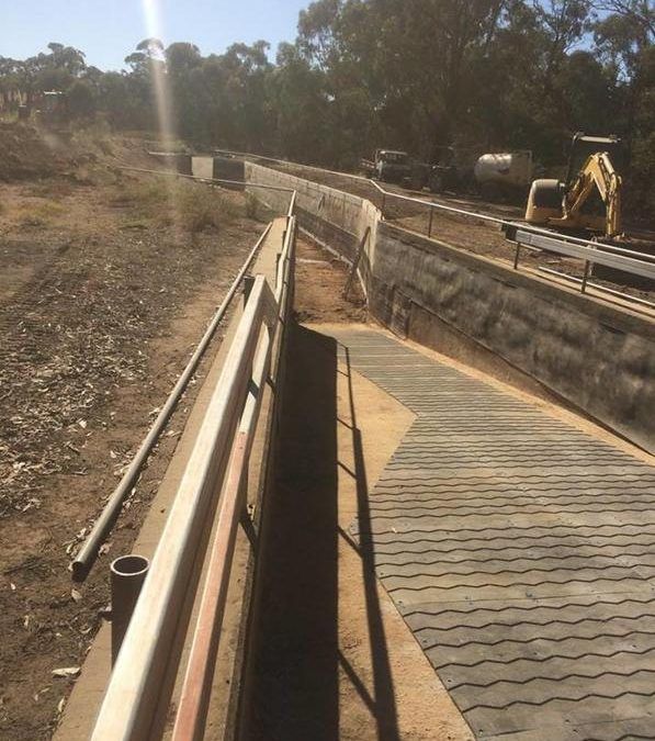 “NEW POOL AT BENDIGO’
