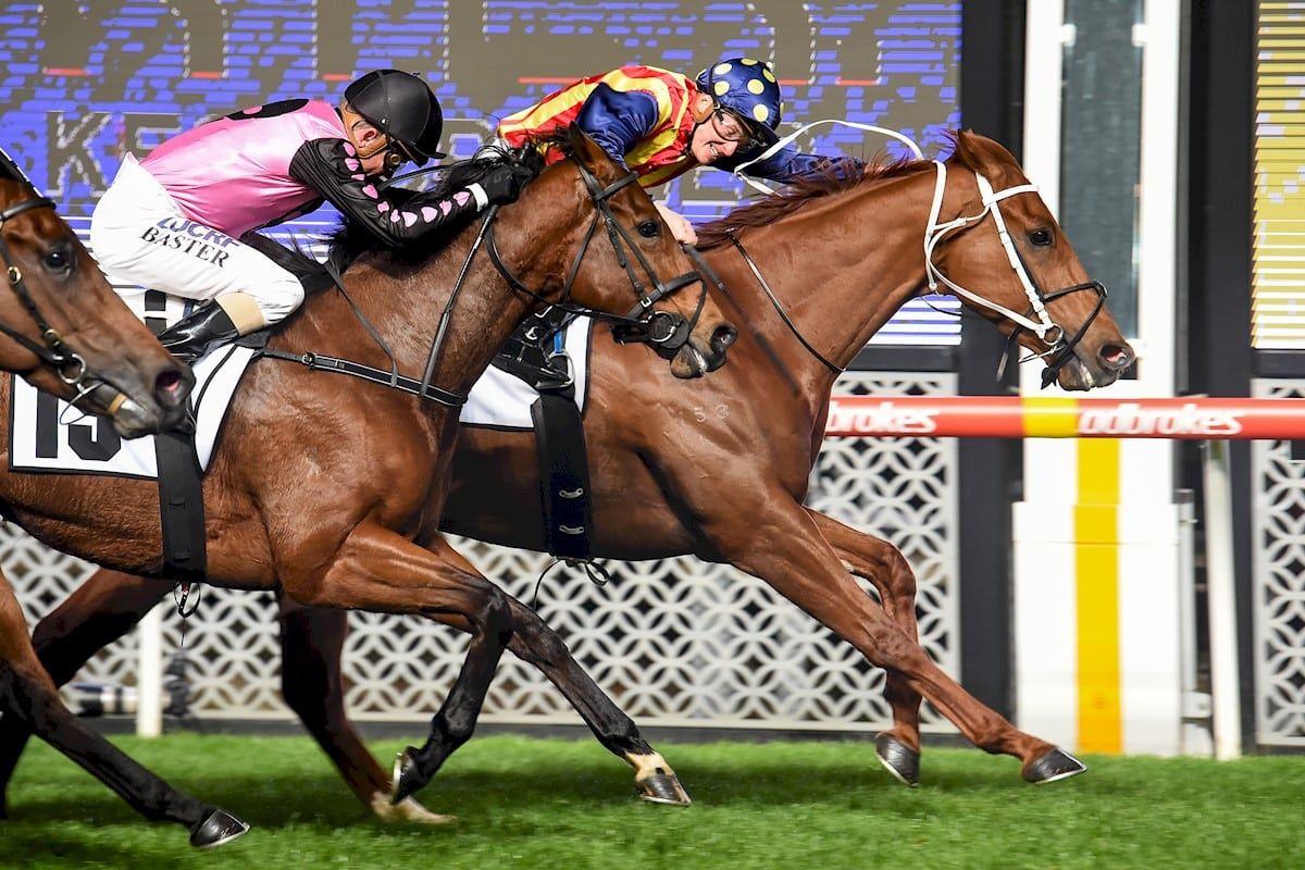 https://images.mistable.com/wp-content/uploads/sites/34/2019/11/06232800/Moir-Stakes-Moonee-Valley-Winning-Post-2nd-27.09.2019.jpg