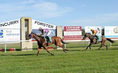 Onemore Sapphire too good at Tuncurry