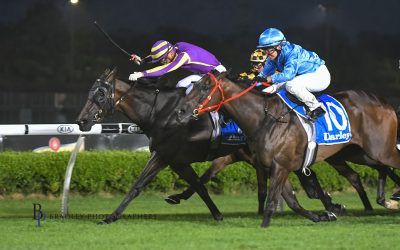 Miss Redoble enjoys the wet conditions at Canterbury