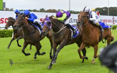 Joigny wins at Kensington