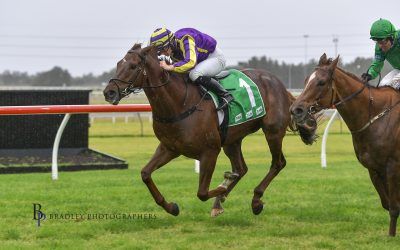 Higgins gets the job done at Kembla Grange