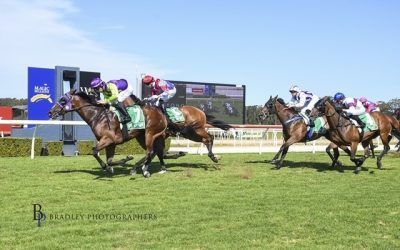 Lady Superspy powers home at Wyong