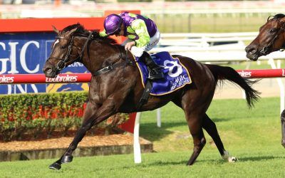 Barossa Rosa Digs Deep in Nudgee Stakes