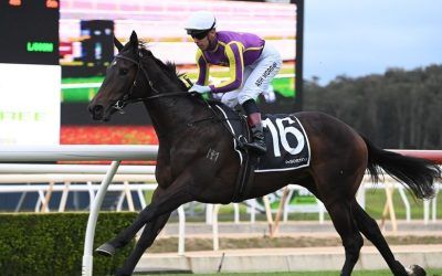 Titanium Miss does it easy in second start