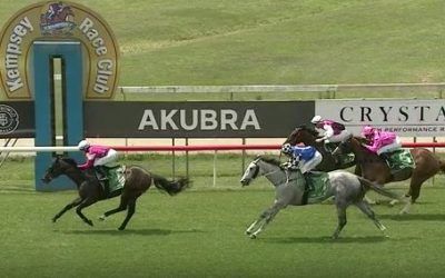 Too Fast for them on Kempsey Cup Day