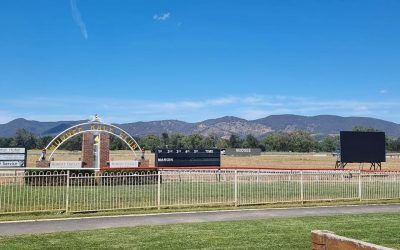 Banyan Tree gets the win at Mudgee