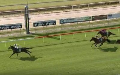 Kicking off the the new year in style