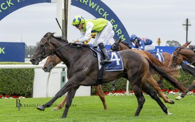 Tough as Titanium at the Farm